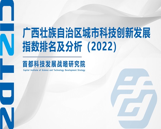 人操逼XXXXX【成果发布】广西壮族自治区城市科技创新发展指数排名及分析（2022）